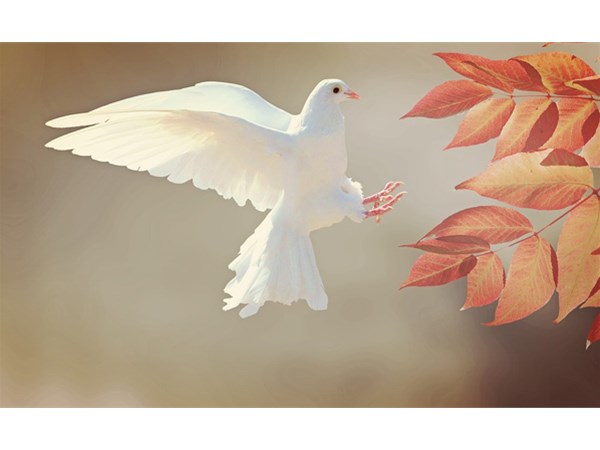 這四點(diǎn)方法將告訴你，如何為兒童進(jìn)行科學(xué)啟蒙